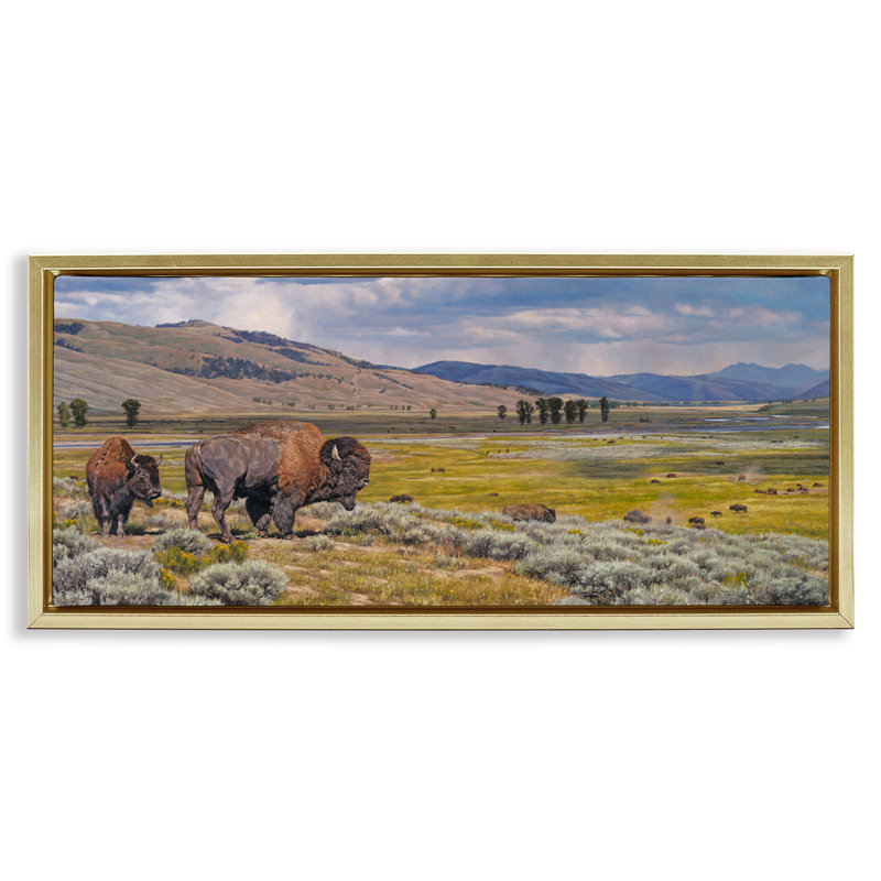 Art mural sur toile flottant Roisson Southwestern Bison par David Graham, Cadre flottant métallique doré, H 11 po x l 25 po