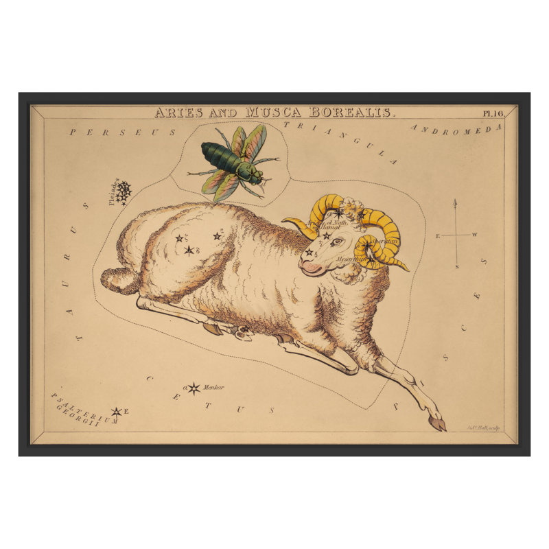 Aries Print by Grand Archives, 32" H x 45" W, Black Framed