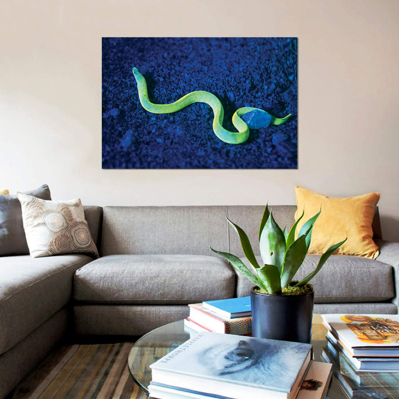 «Eel with Fluorescence Light and Filtres», impression sur toile, H 26 po x l 40 po x P 1,5 po, Toile tendue, Pas de tapis
