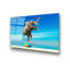 Boze Wall Decor