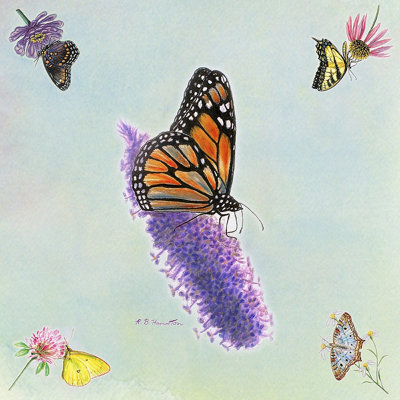 Ilya Butterfly Square Tablecloth