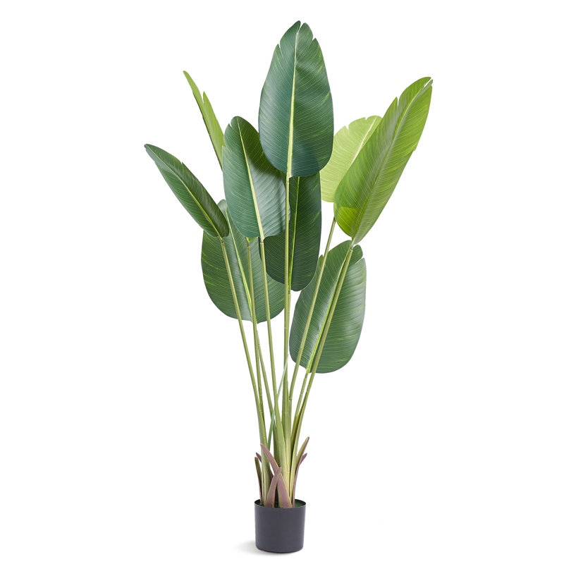 152.4cm Faux Palm Tree in Planter