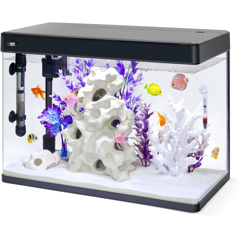 Aquarium Dereyon, 21 gallons (H 19,7 po x l 12,8 po x P 24 po)
