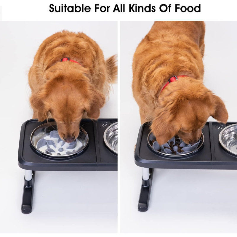 Slow Feeder