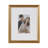 Five-Piece Matted Picture Frame Set