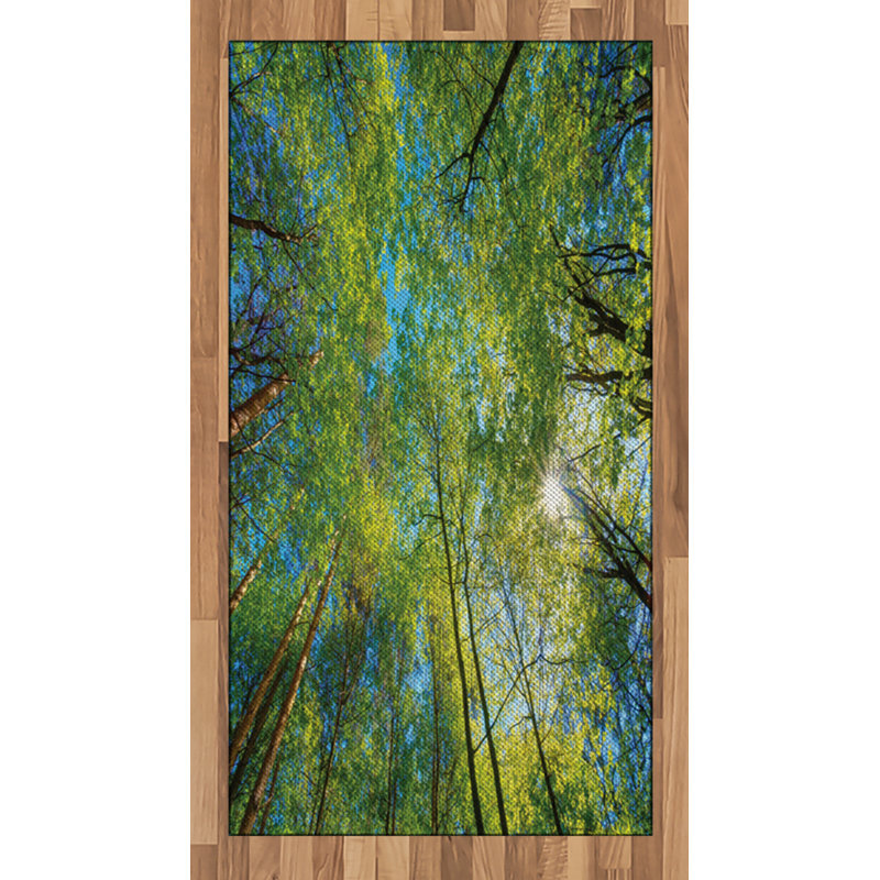 Tapis décoratif long en fibres de polyester haute densité Scenery, Rectangle 2 pi 7 po x 5 pi