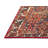 Oriental Indoor Rug-1768643594