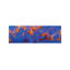 A Bloom Of Jellyfish by Panoramic Images - Wrapped Canvas Panoramic Print-2000109200