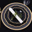 Disposable Birthday Dinner Plate