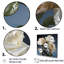 Monocrhome roses blanches en fleurs-1636185114-1636185108