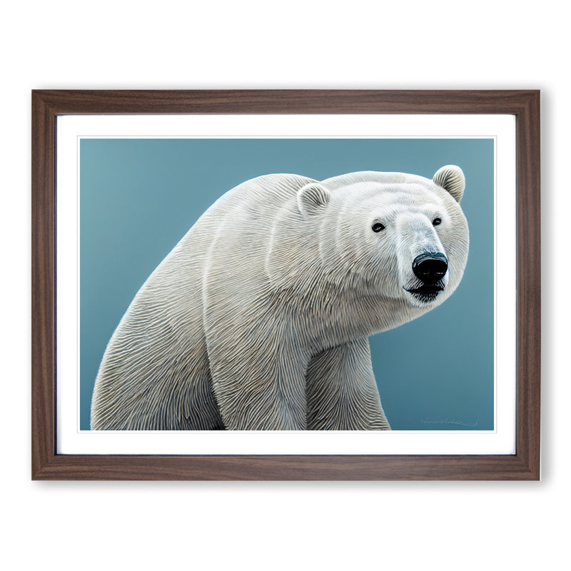 Interesting Polar Bear - Framed Print, 46cm H x 64cm W x 2cm D, Walnut