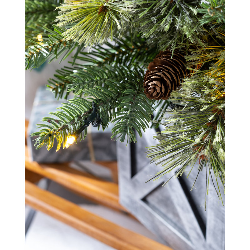 3.5' H Lighted Artificial Pine Christmas Tree