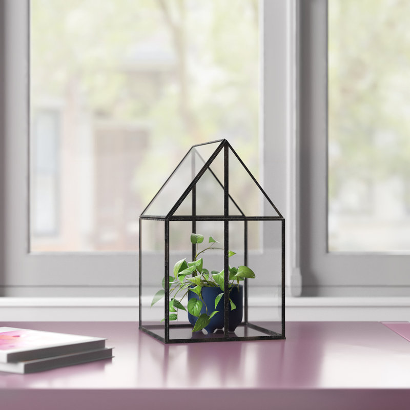 Terrarium en verre Navin, H 10 po x l 6,1 po x P 6,1 po