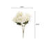 Arrangement