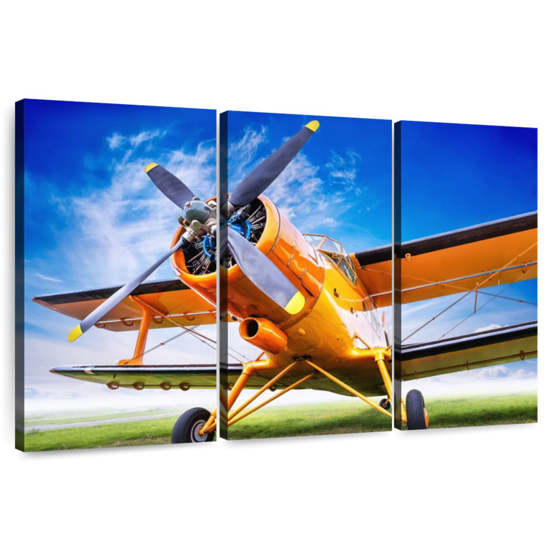 Mehar Orange Airplane, 20" H x 33" W