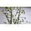 Arbre artificiel 5 pi avec pot en plastique noir, plante d'intérieur en pot réaliste, faux arbre pour décoration de salon, verdure à faible entretien