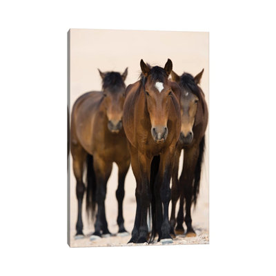 Namib Desert Horse Trio, Namib-Naukluft National Park, Namibia by Cyril Ruoso - Wrapped Canvas Print