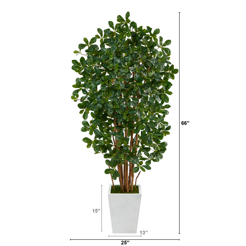 Olive artificielle 66 po en pot