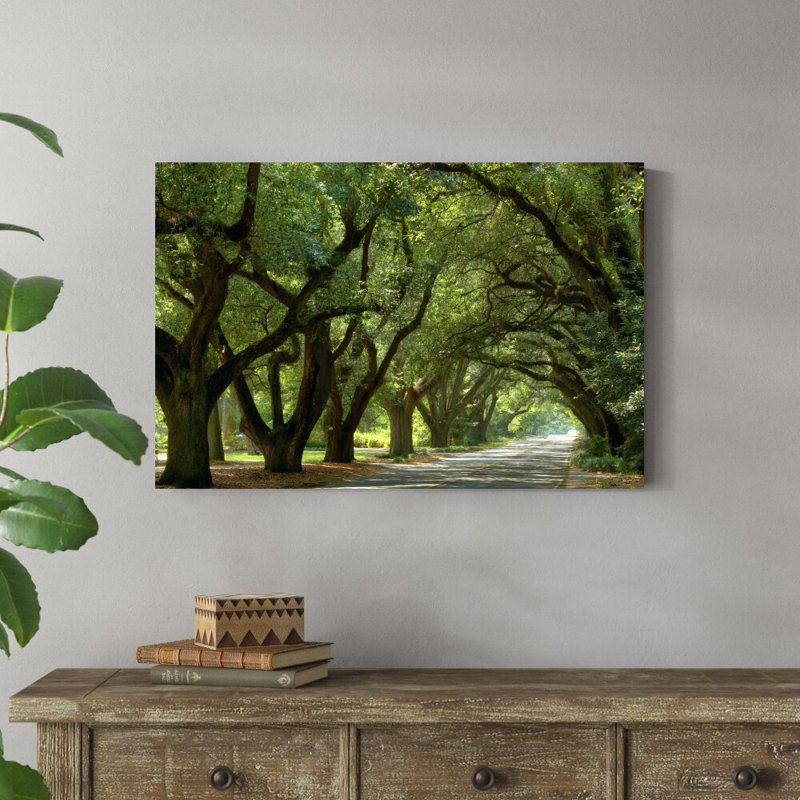 «Canopy Road II» par James McLoughlin - photographie sur toile tendue, H 24 po x l 36 po