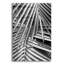 "Cycad, Michigan 80" par Monte Nagler-919534509