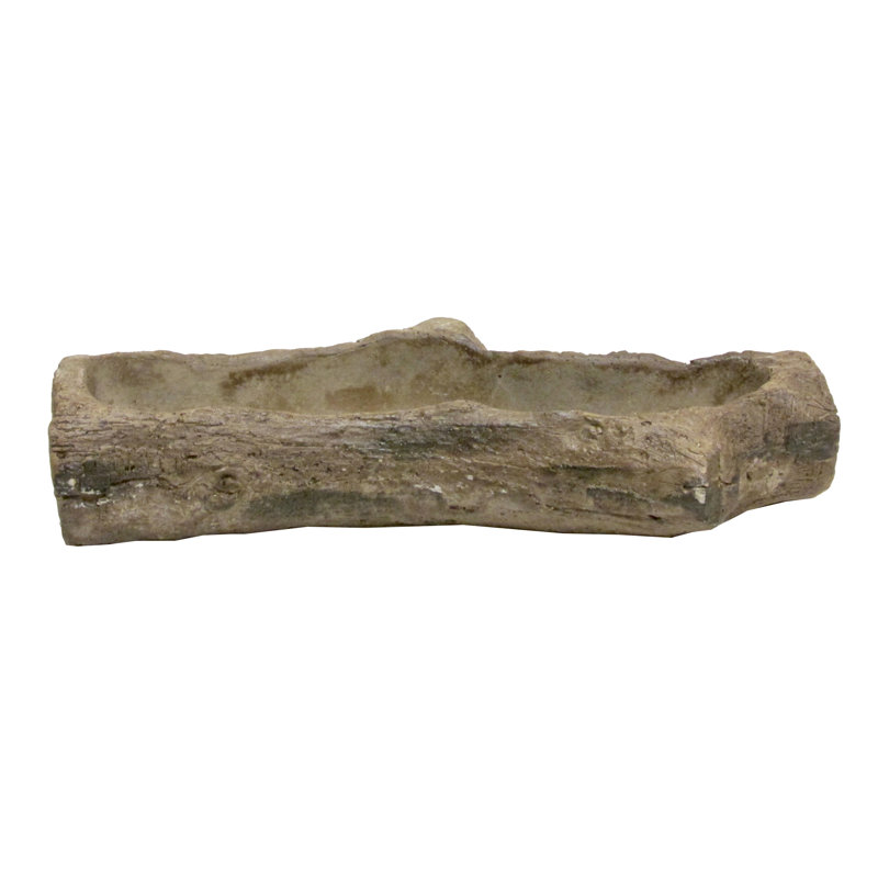 Pot de fleurs en béton Harmon, H 2,5 po x l 12,5 po x P 5 po, Brun