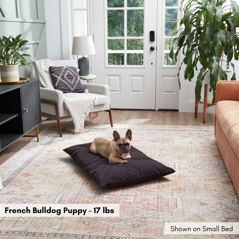 Lit pour chien en velours côtelé Gladmir, H 4 po x l 36 po x P 24 po, Gris anthracite