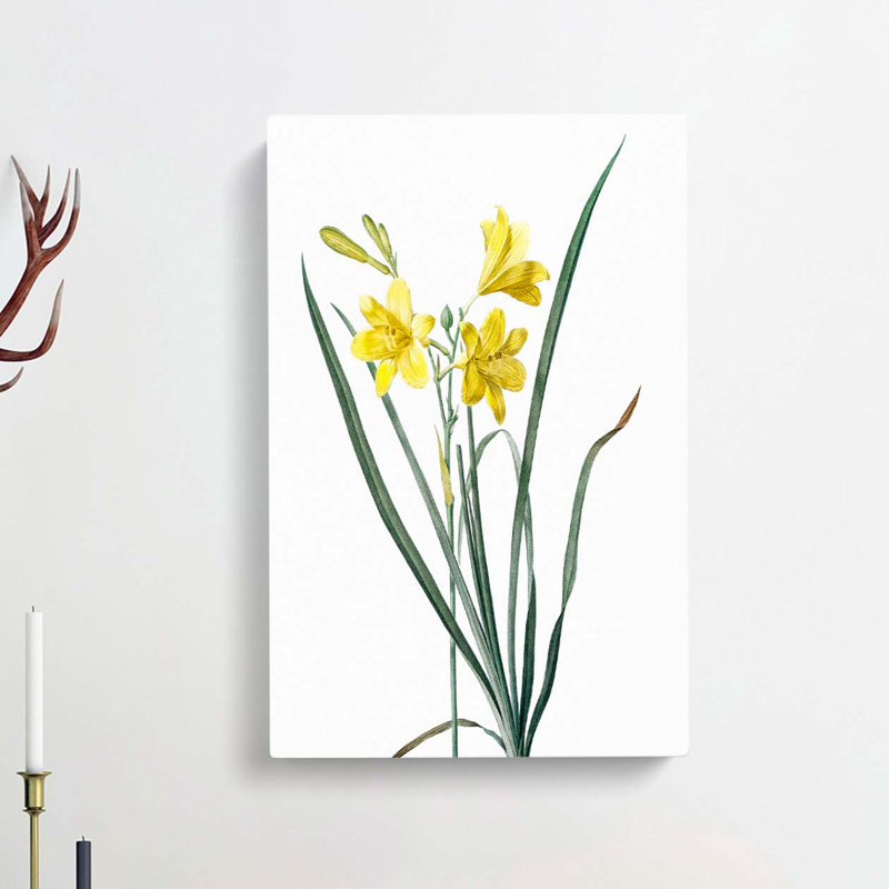Yellow Daylily by Pierre-Joseph Redoute - Wrapped Canvas, 50cm H x 35cm W x 3cm D