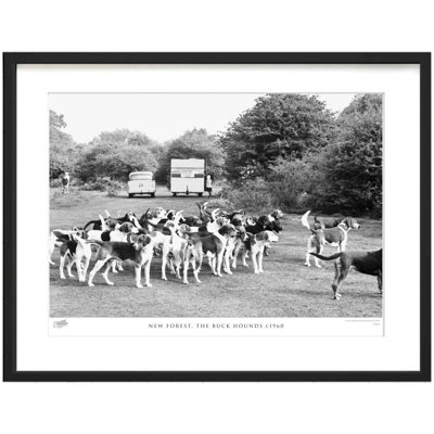 New Forest, the Buck Hounds C1960 1 Piece Single Picture Frame Wall Art