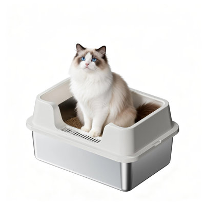 Litter Box