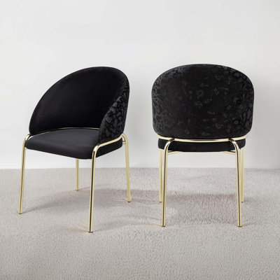 Modern Style 2PC Chairs
