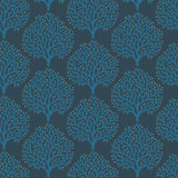 Beach Coral - Wallpaper