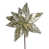 Argent champagne est en rupture de stock
