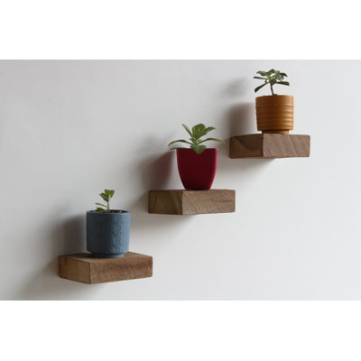 Salomon 3 Piece Solid Wood Floating Shelf