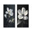 Ensemble de 2 pièces d'art mural cornichon I - cornouiller monochrome blanc et noir-1810527509-1810527508-1810527511