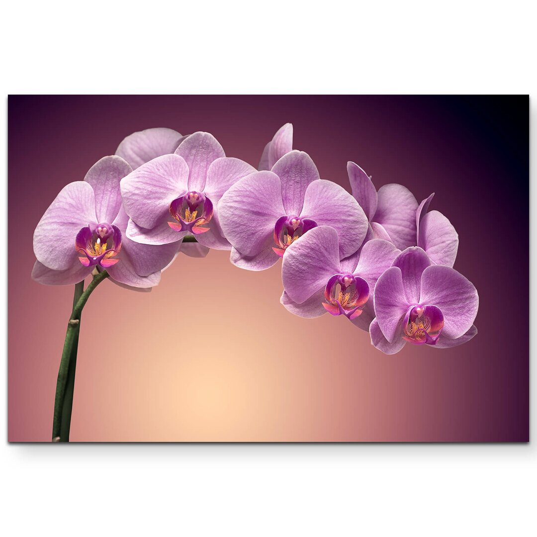 Leinwandbild Rosa Orchideenrispe – Nahaufnahme