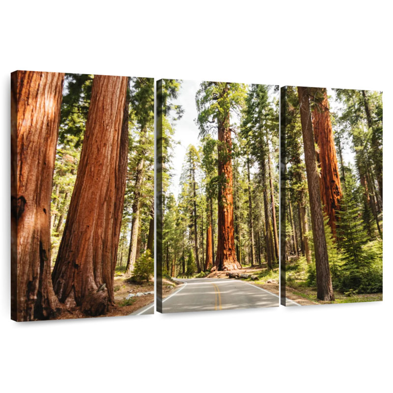 Harnek Sequoia Tree Lane, H 24 po x l 38 po