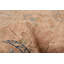 Joss One-of-a-Kind 7'7" X 10'6" 1990s Wool Area Rug Tan