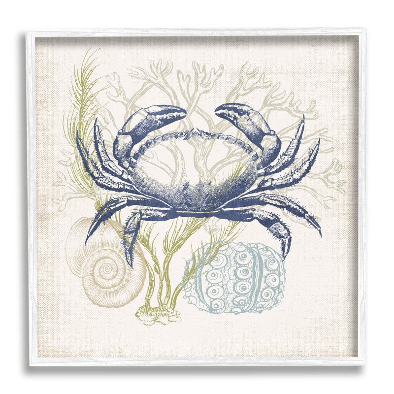 Superposition botanique crabe océanique rustique-ao-750, H 24 po x l 24 po x P 1,5 po, Giclée encadrée blanc bord de mer