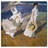 " SAI - Elegans Mariae "-21045354
