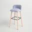 Kaylah Upholstered Counter Stool