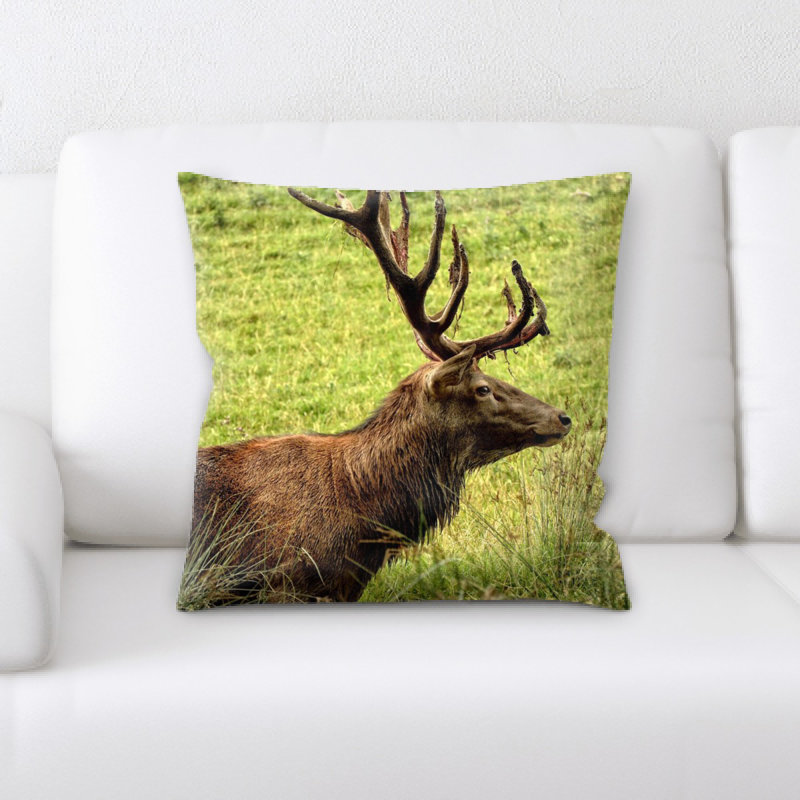 Coussin hirsch