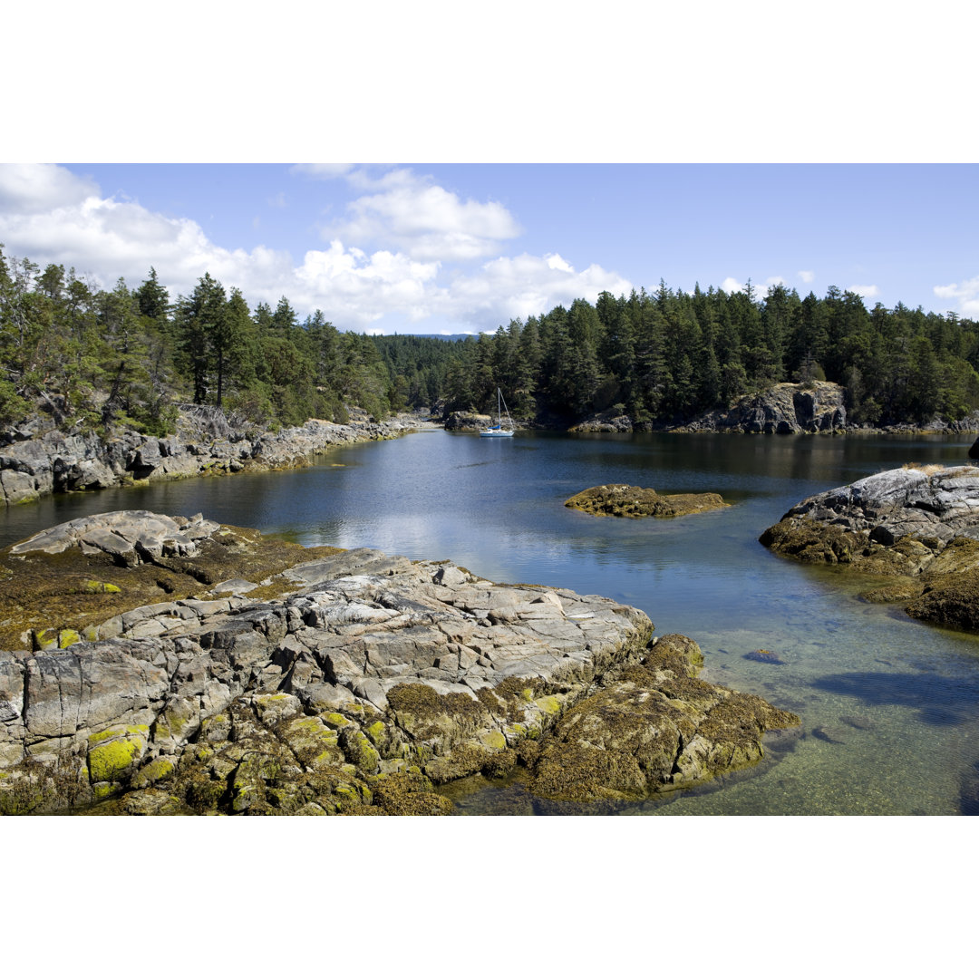 Smuggler Cove Marine Provincial Park von Laughingmango - Leinwandbild