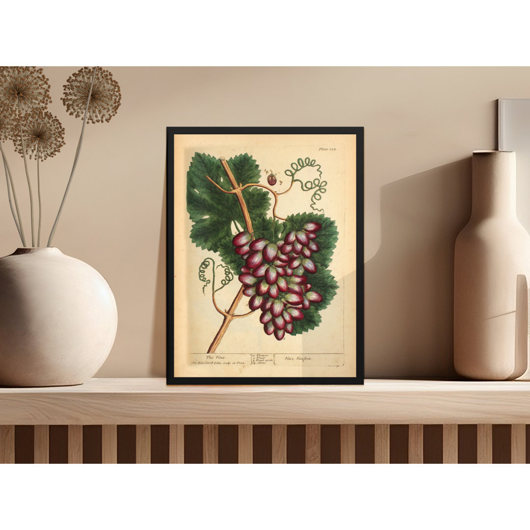 No Frame Print