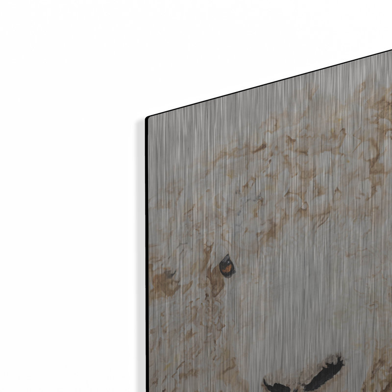 «Woolly» par Diane Fifer, H 16 po x l 12 po