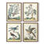 «Pastel Birds I», ensemble de 4 encadrés-109518764-109518767