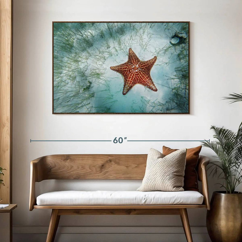 Étoile de mer peu profonde, 46 po x 31 po, Cadre flottant noyer