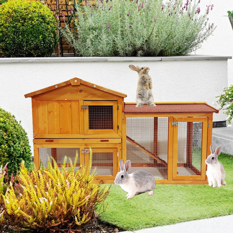 Wearable And Strong Chicken Coops For Playground