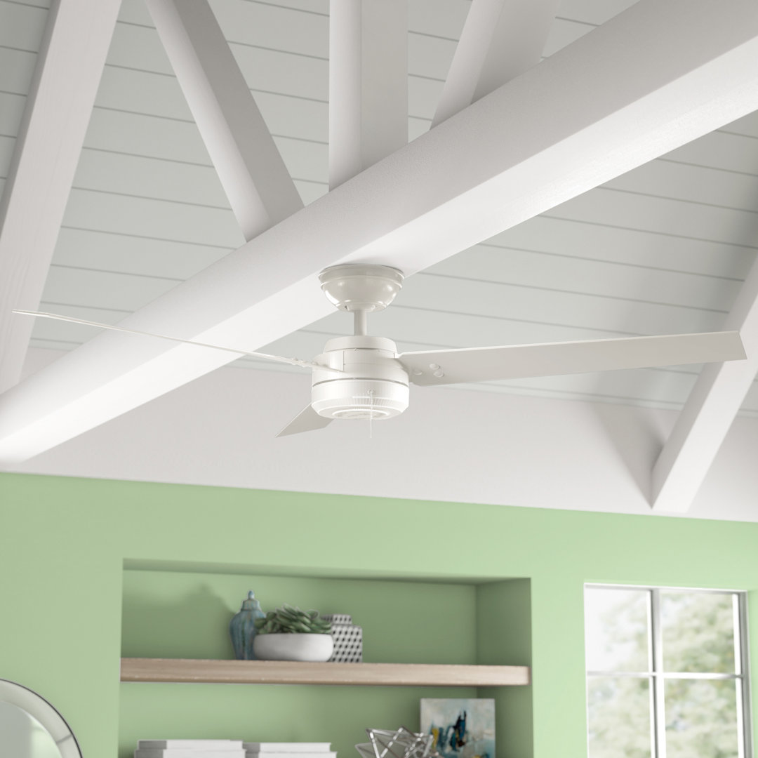 52" Cassius 3 - Blade Outdoor Standard Ceiling Fan with Pull Chain Hunter Fan 