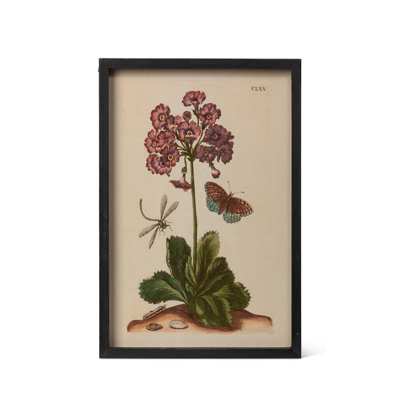 Jardin Boheme Botanical Prints