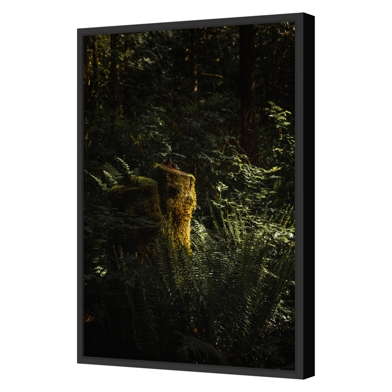 Mossy Ledge Print by Bumsted, Kelsey